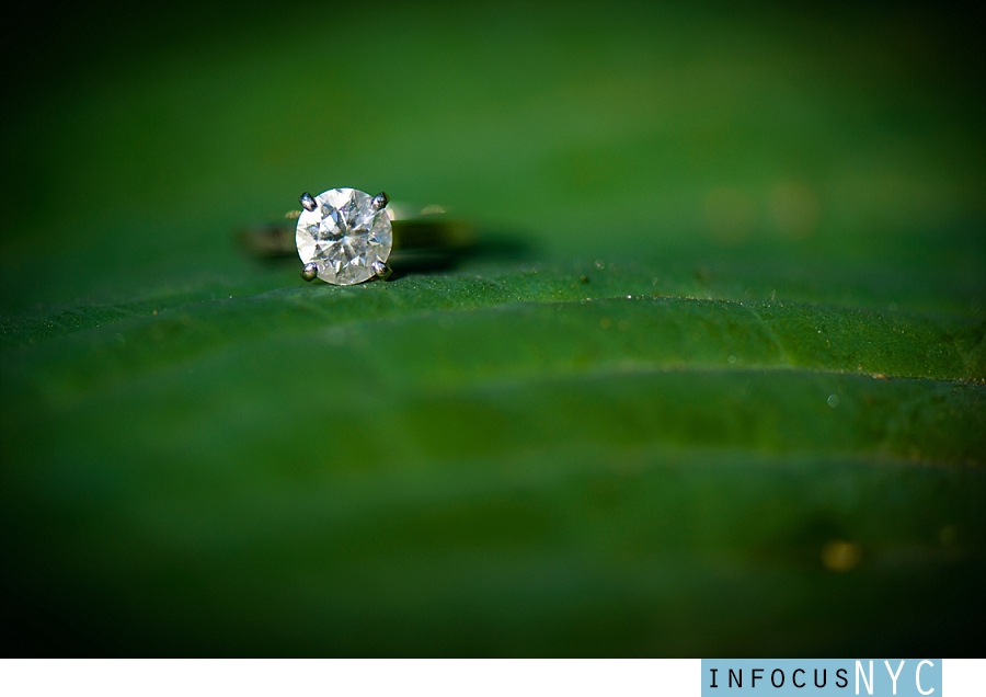 Frances + Aaron Engagement at The Cloisters (8)