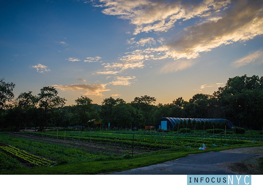 Dana + Daniel Wedding at Queens Farm Museum_0050